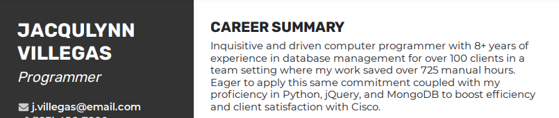 A resume summary example from a programmer resume